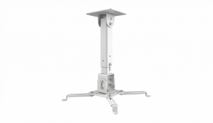 ���� �����