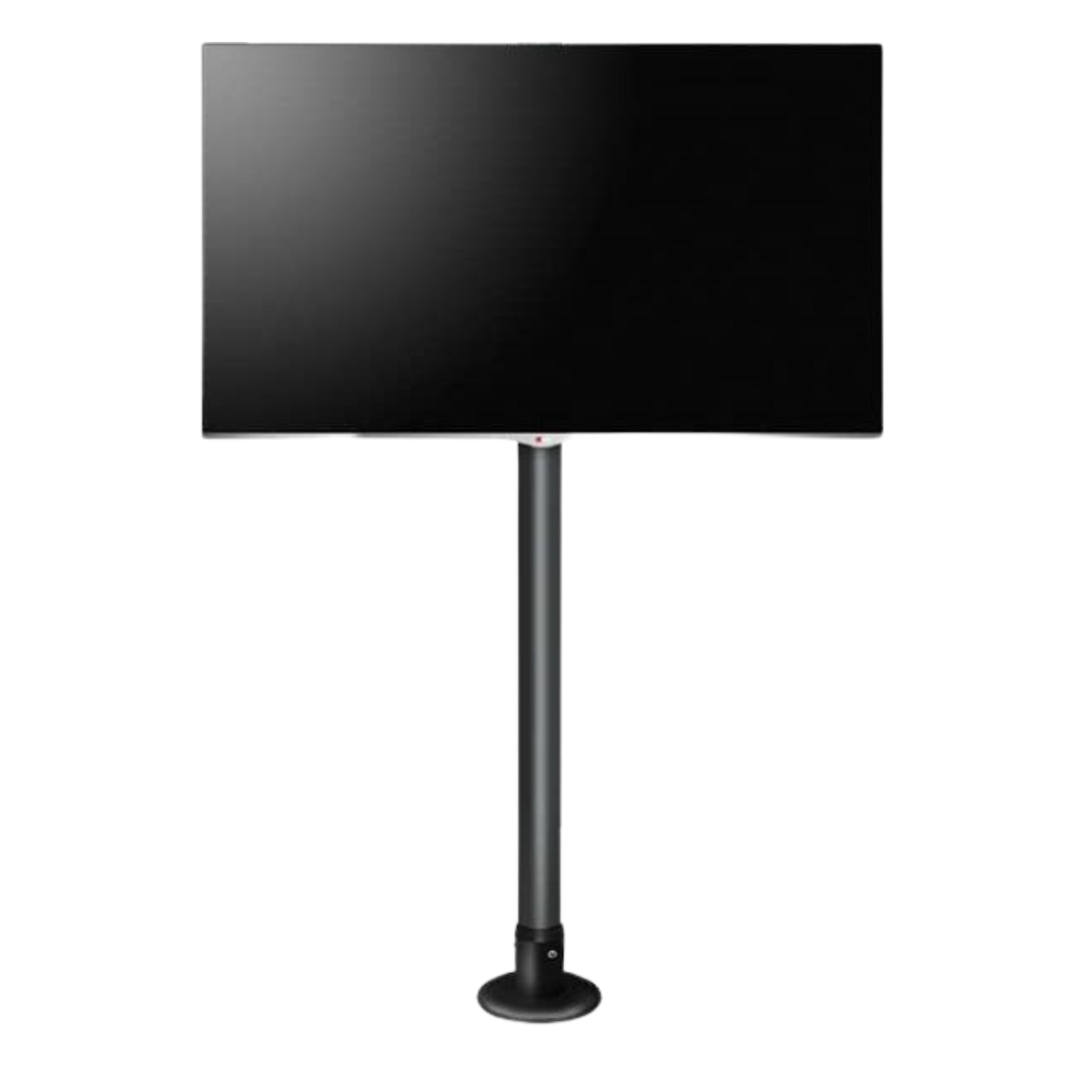 ���� ���� �����